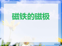 科学【人教鄂教版】一年级下册8《磁铁的磁极》ppt课件 (2)