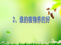 科学【人教鄂教版】二年级上册2《谁的植物长得好》PPT课件（共12页）