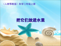 科学【人教鄂教版】二年级上册5《把它们放到水里》PPT课件（共8页）
