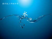科学【人教鄂教版】二年级上册4《水》PPT课件（共13页）