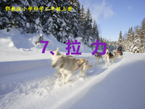 科学【人教鄂教版】二年级上册7《拉力》PPT课件（共14页）