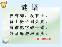 科学【人教鄂教版】二年级下册8《蜗牛》PPT课件（共24页）