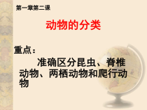 科学【2020新鄂教版】四年级上册2《动物的分类》ppt课件