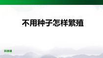 科学【2020新鄂教版】四年级上册2.5《不用种子怎样繁殖》ppt课件