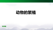 科学【2020新鄂教版】四年级上册2.6《动物的繁殖》ppt课件（内嵌视频）