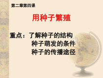 科学【2020新鄂教版】四年级上册4《用种子繁殖》ppt课件