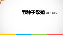 科学【2020新鄂教版】四年级上册2.4《用种子繁殖》第二课时ppt课件（内嵌视频）
