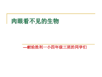 科学【人教版】小学四年级上册2.4《肉眼看不见的生物 》PPT课件