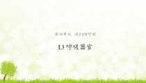 科学【新人教鄂教版】三年级上册13《呼吸器官》PPT课件（共11页）