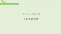 科学【新人教鄂教版】三上13《呼吸器官》PPT课件1