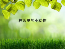 科学【人教版】小学三年级上册1.2《校园里的动物》PPT课件
