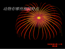 科学【人教版】小学三年级上册2.4《我们和动物有哪些相同和不同》PPT课件