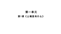 科学【鄂教版（人教）】三年级下册1《土壤里有什么》PPT课件 (共8页