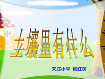 科学【人教版】三年级下册3.1《土壤里有什么》PPT课件