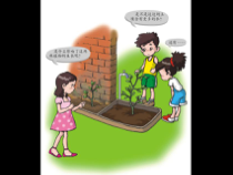 科学【人教版】三年级下册2.4《是什么在影响植物生长》PPT课件