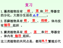 科学【人教版】三年级下册2.1《植物的种子》PPT课件