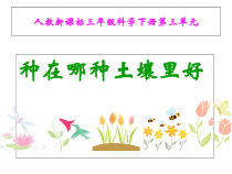 科学【人教版】三年级下册3.3《种在哪种土壤里好》PPT课件