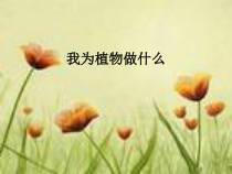 科学【人教版】三年级下册4.4《我为植物做什么》PPT课件