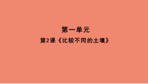 科学【人教鄂教版】三年级下册2《比较不同的土壤》PPT课件 (共14页