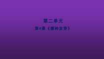 科学【人教鄂教版】三年级下册4《播种发芽》PPT课件 (共14页)