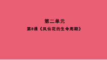 科学【人教鄂教版】三年级下册8《凤仙花的生命周期》PPT课件 (共9页)