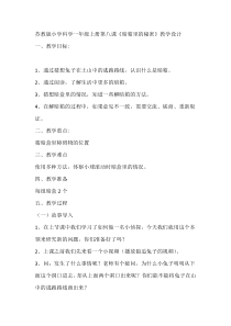 科学【苏教版】小学一年级上册第八课《暗箱里的秘密》教学设计2