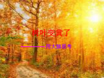 科学【苏教版】小学一年级上册第九课《树叶变黄了》PPT课件3