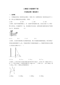 人教版八年级数学下册《勾股定理》强化练习(原卷版)