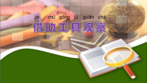 科学【苏教版】小学一年级上册第六课《借助工具观察》PPT课件6
