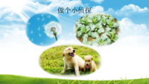 科学【苏教版】小学一年级上册第七课《做个小侦探》PPT课件2