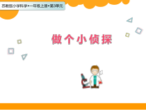 科学【苏教版】小学一年级上册第七课《做个小侦探》PPT课件1
