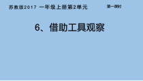 科学【苏教版】小学一年级上册第六课《借助工具观察》PPT课件5