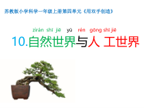科学【苏教版】小学一年级上册第十课《自然世界与人工世界》PPT课件2