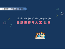 科学【苏教版】小学一年级上册第十课《自然世界与人工世界》PPT课件5