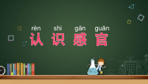 科学【苏教版】小学一年级上册第四课《认识感官》PPT课件1