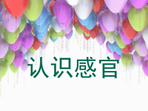 科学【苏教版】小学一年级上册第四课《认识感官》PPT课件6