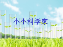 科学【苏教版】小学一年级上册第一课《小小科学家》PPT课件2