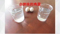 科学【苏教版】小学一年级上册第一课《小小科学家》PPT课件1
