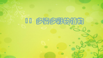 科学【苏教版】一年级下册第十一课《多姿多彩的植物》PPT课件1