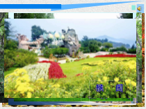科学【苏教版】一年级下册第十一课《多姿多彩的植物》PPT课件2