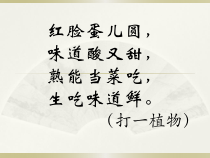 科学【苏教版】一年级下册第十一课《多姿多彩的植物》PPT课件3