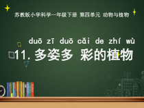 科学【苏教版】二年级上册第11课 《透明与不透明》PPT课件（共40页）