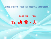 科学【苏教版】一年级下册第十二课《动物•人》PPT课件4