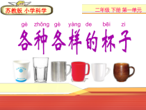 科学【苏教版】二年级下册1.2《各种各样的杯子》PPT课件（共10页） (2)