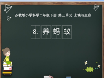 科学【苏教版】二年级下册3.8《养蚂蚁》PPT课件（共11页）
