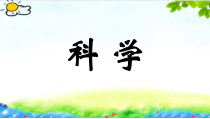 科学【苏教版】二年级下册3.8《养蚂蚁》PPT课件（共20页）