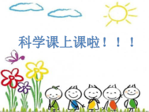 科学【苏教版】二年级下册4.10《认识工具》PPT课件（共21页）