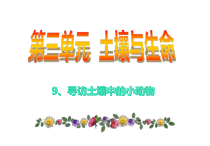 科学【苏教版】二年级下册3.9《寻访土壤中的小动物》PPT课件（共28页）