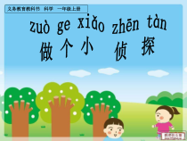 科学【苏教版】二年级下册4.12《做个小温室》PPT课件3（共21页）