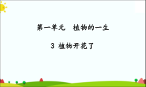 2020新科学【苏教版】三年级下册3《植物开花了》PPT课件（共23页）